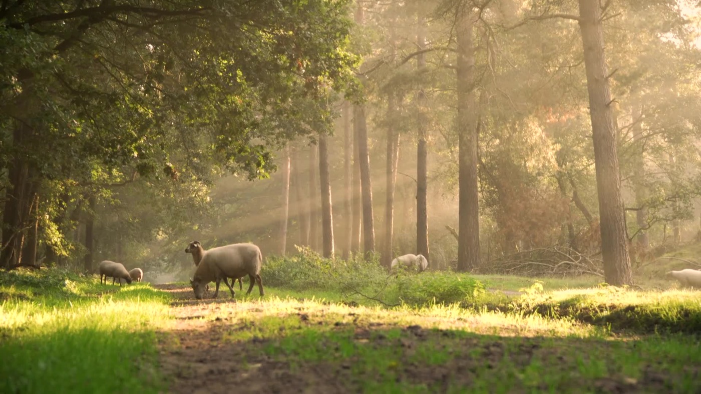 Calm environment photo